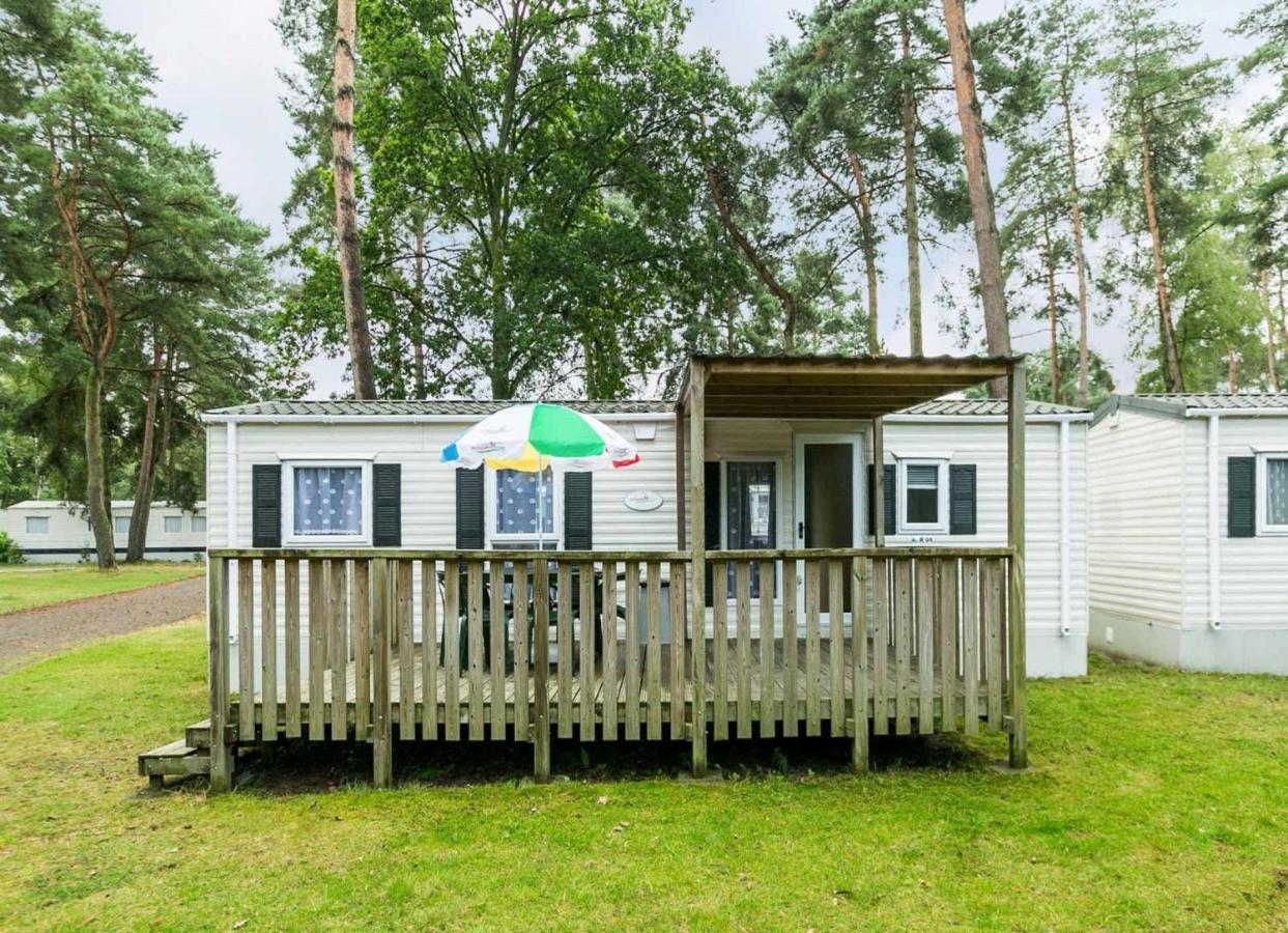 Europarcs Zilverstrand Мол Номер фото